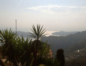 07Kakteengarten-700x537